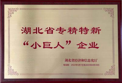 2022年4月，湖北東升天龍喜獲省級第四批專精特精新“小巨人”榮譽(yù)稱號 ...
